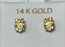 SK-1068