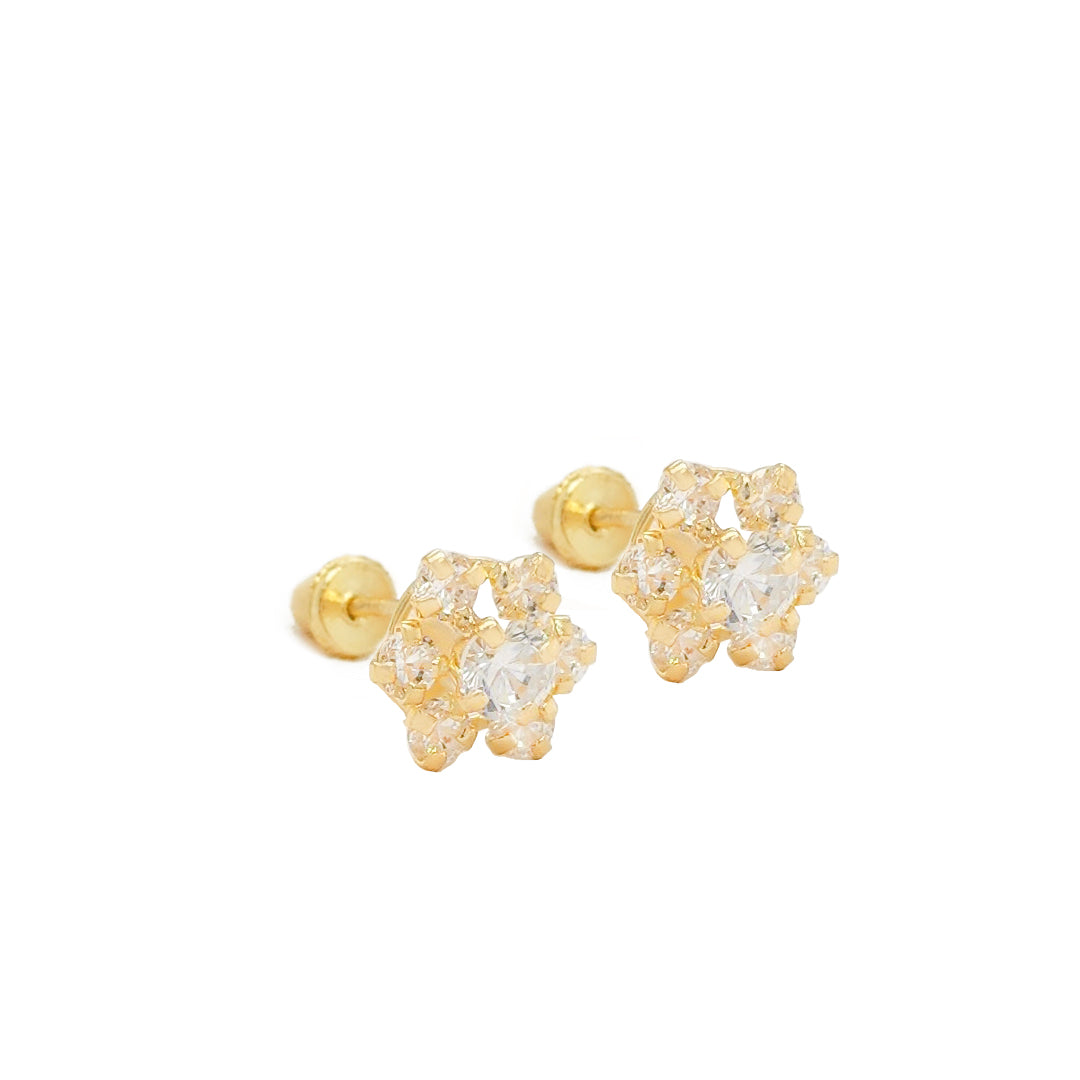 14k Gold-Flower Style with CZ Earrings